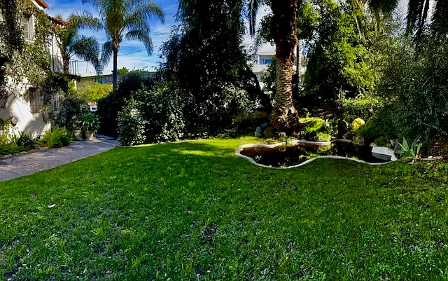 view from bedroom window