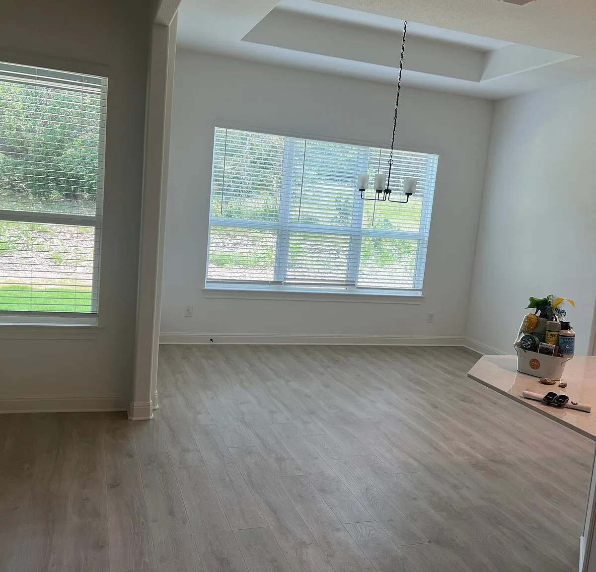 4 bed, 3300 sqft, $3,799 — Photo 3