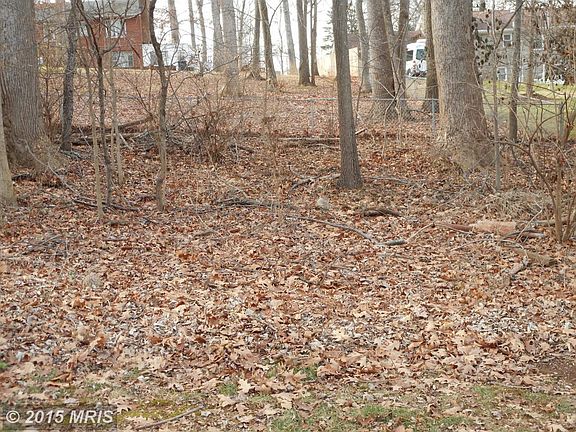Nice wooded quiet back yard