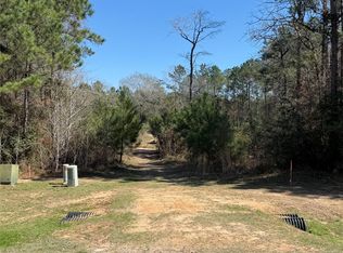 11604 Kirstens Ct, Montgomery, TX 77316