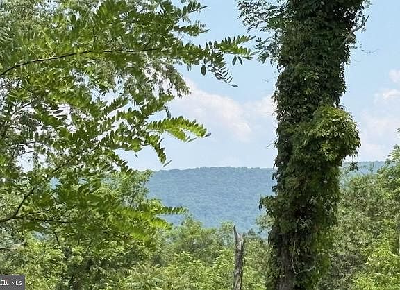 4th image of LOT-24A Fox Run