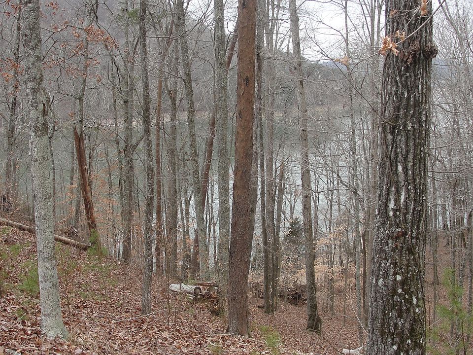 2nd image of Beehive Ln