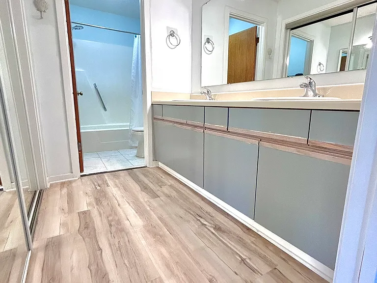 Master Bathroom/Shower