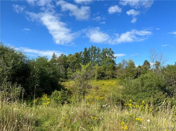 40 Northridge Dr Lot 59, Arcade, NY 14009