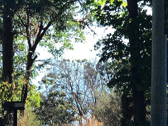 3rd image of 6000 Lockehaven Dr