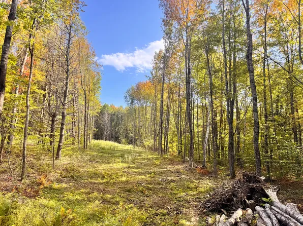 192 Mountain Road, Raymond, ME 04071