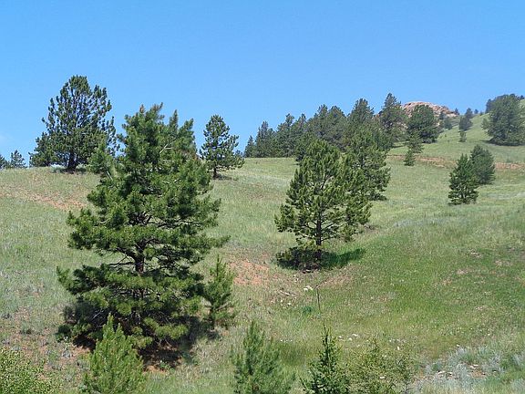 2nd image of 1386 Copper Mountain Dr