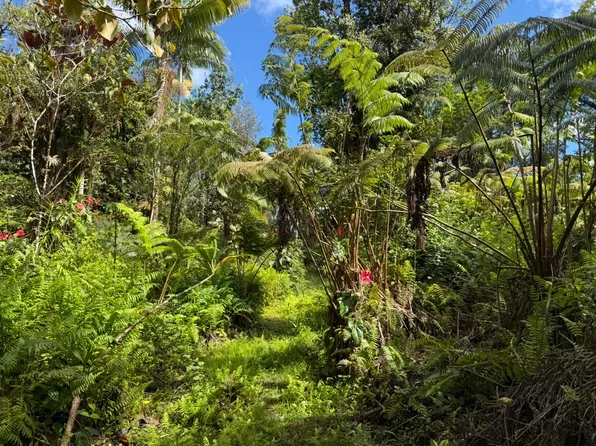 17-1070 Nailima Rd Lot 3, Mountain View, HI 96771