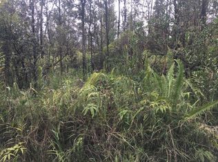 Uau Road Rd #5-LOT 3865, Mountain View, HI 96771