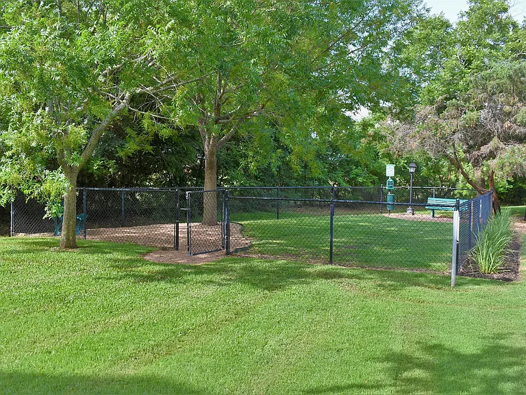 Dog Park