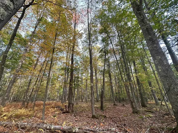 Columbine Cir, Terra Alta, WV 26764