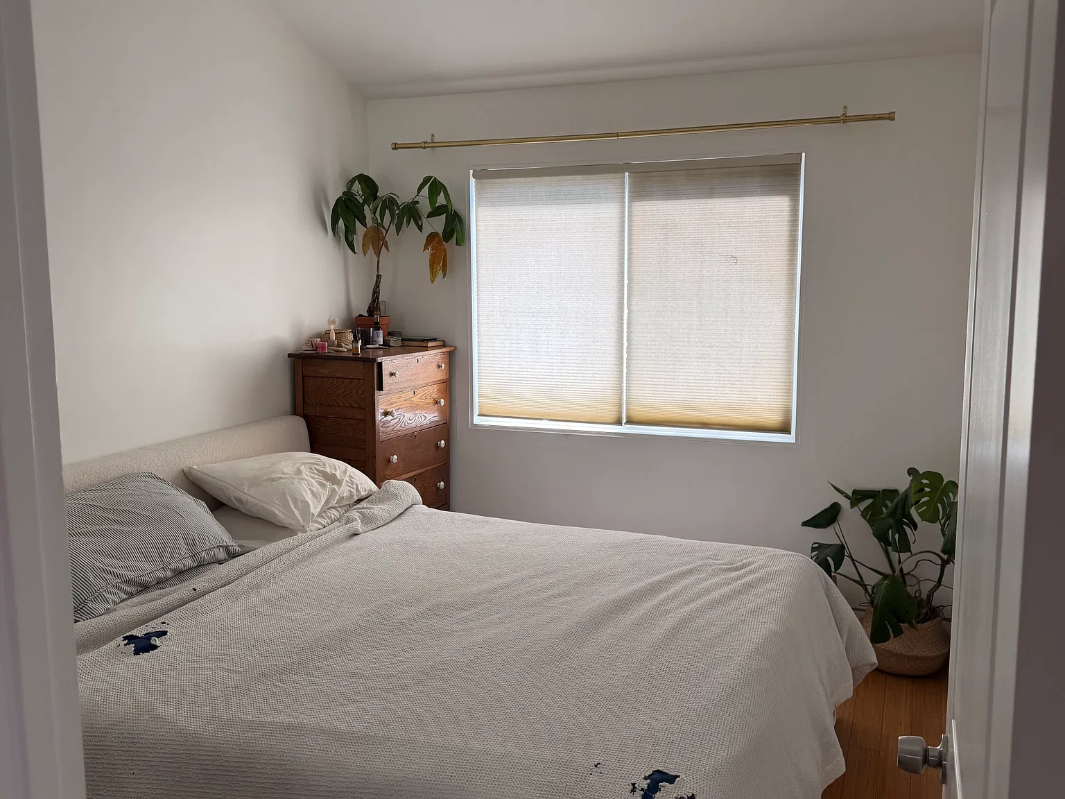 2 bed, $3,400 — Photo 1