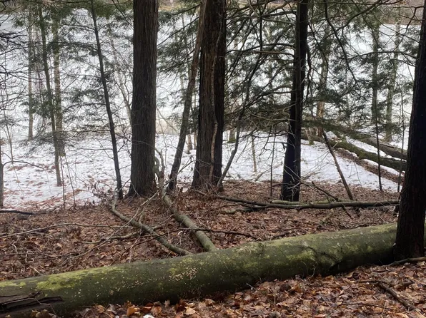 9809 Miramichi Dr, Evart, MI 49631