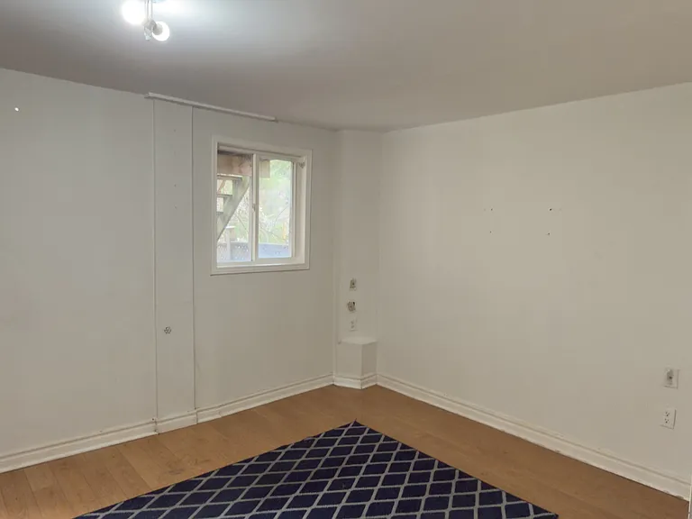 117 English Oak Dr #BSMNT — Photo 7