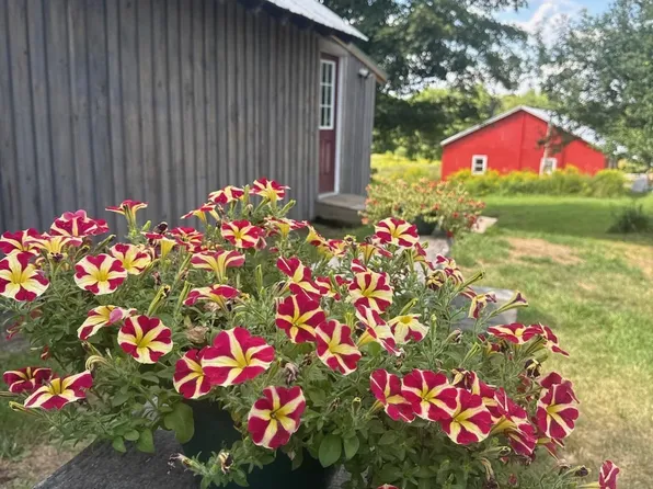 484 Vaughan Road, Newbury, VT 05051