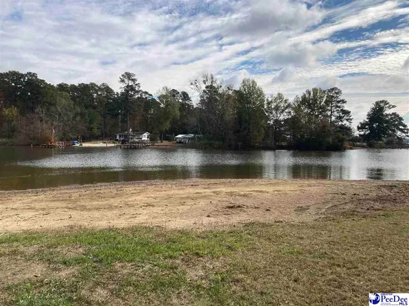 1243 Taw Caw Dr, Summerton, SC 29148