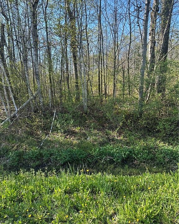 2nd image of Pleasant Valley Rd