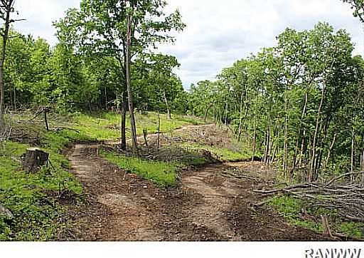 3rd image of W1003 Sweeney Road
