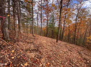 LOT 42 Cedar Falls Way, Sevierville, TN 37862
