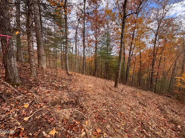 LOT 42 Cedar Falls Way, Sevierville, TN 37862