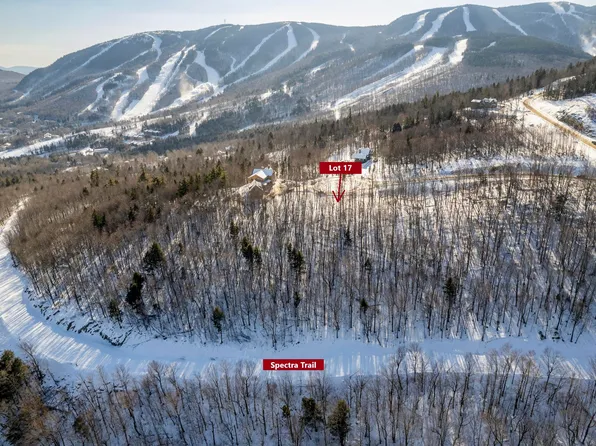 Lot 17 Garnet Way, Newry, ME 04261