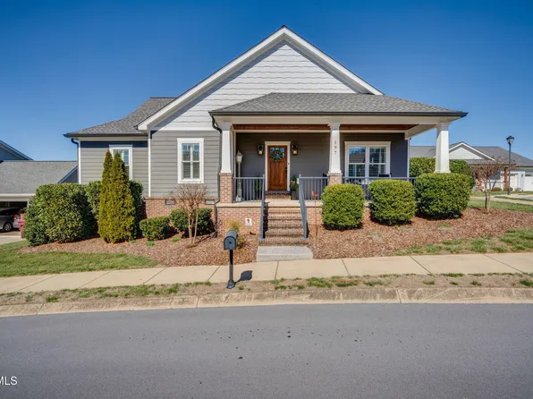 197 Princeton Gardens Dr, Johnson City, TN 37601