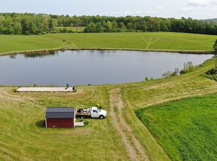 107 Wright Rd, Candor, NY 13743