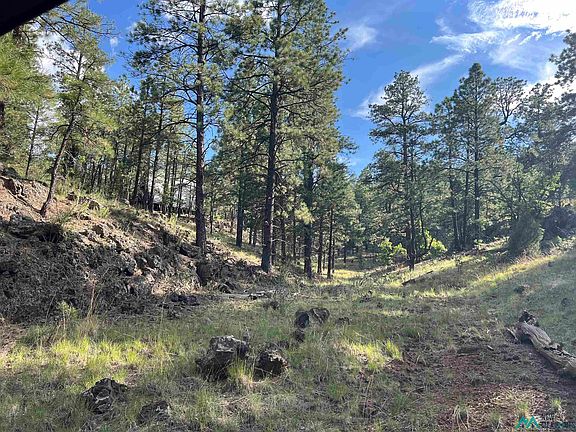 2nd image of Little Bear Rd