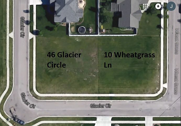 1st image of 10 Wheat Grass