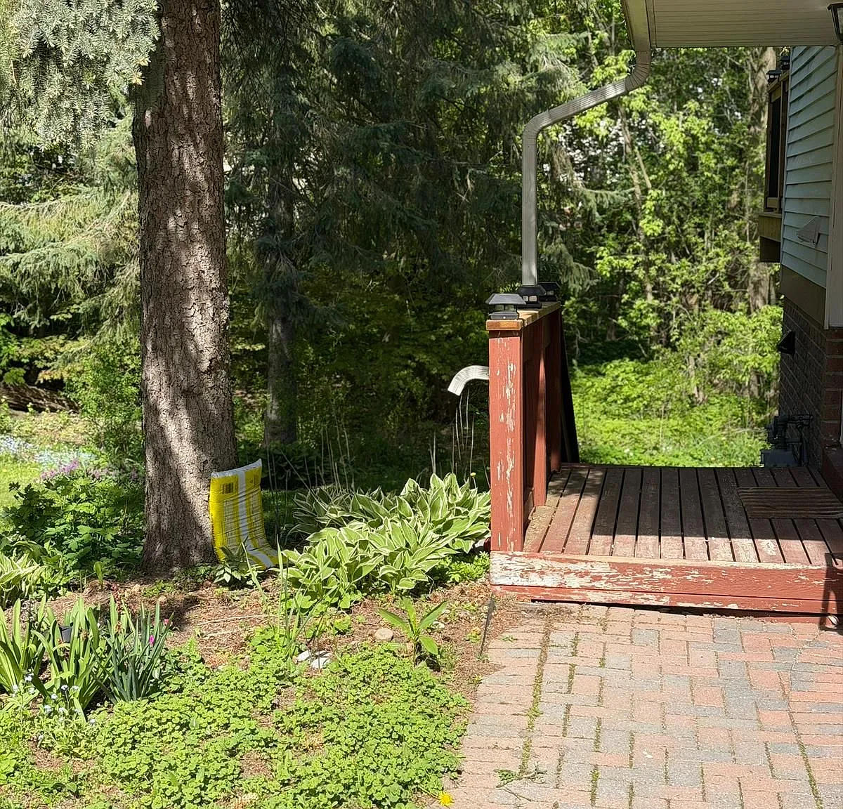 2 bed, $1,450 — Photo 3