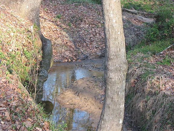 Creek view