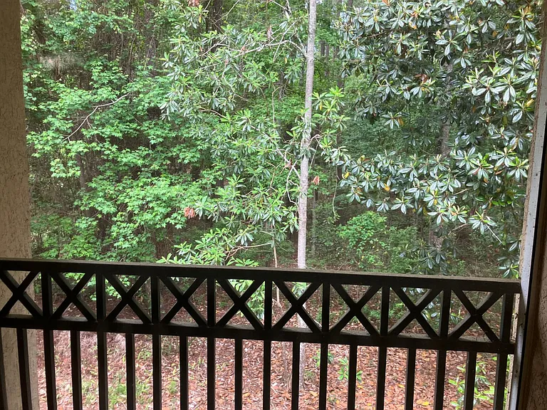 4 Indigo Run Dr #1823 — Photo 35