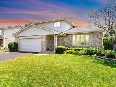 15607 Plum Tree Dr, Orland Park, IL, 60462