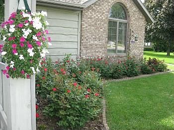4th image of 2818 Briar Bush Ln