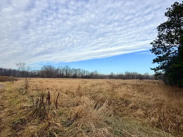 Xx Forest Blvd, Rush City, MN 55069