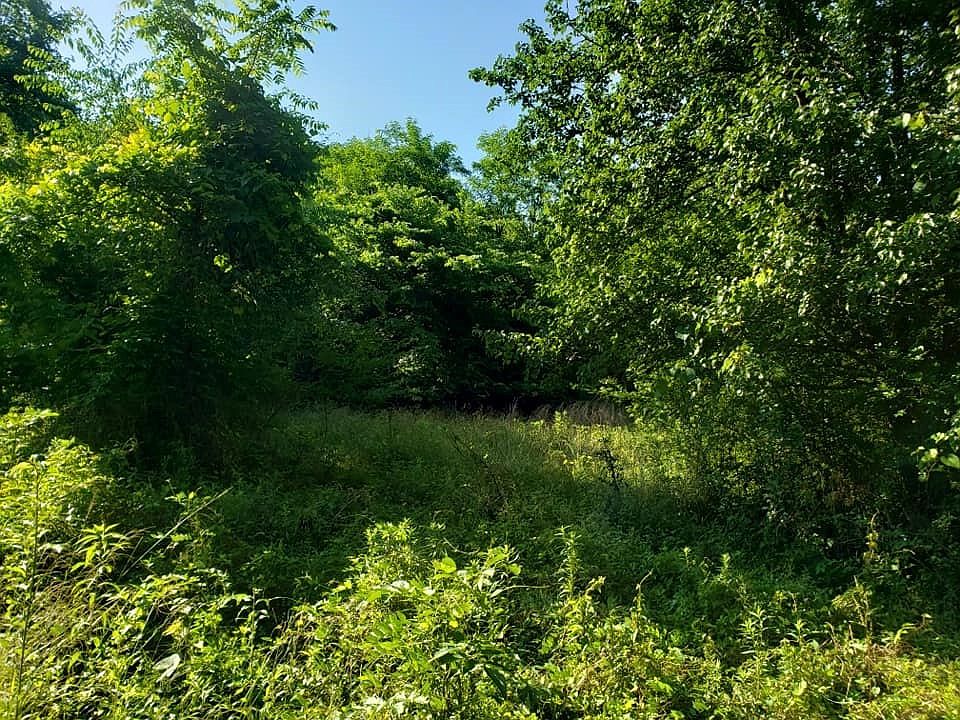 2nd image of 0 County Road 87