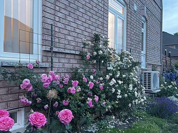 2nd image of 55 Russell Hill Rd