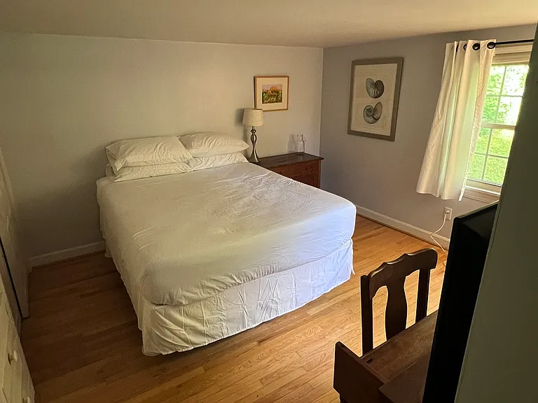 Bedroom #1 (downstairs)