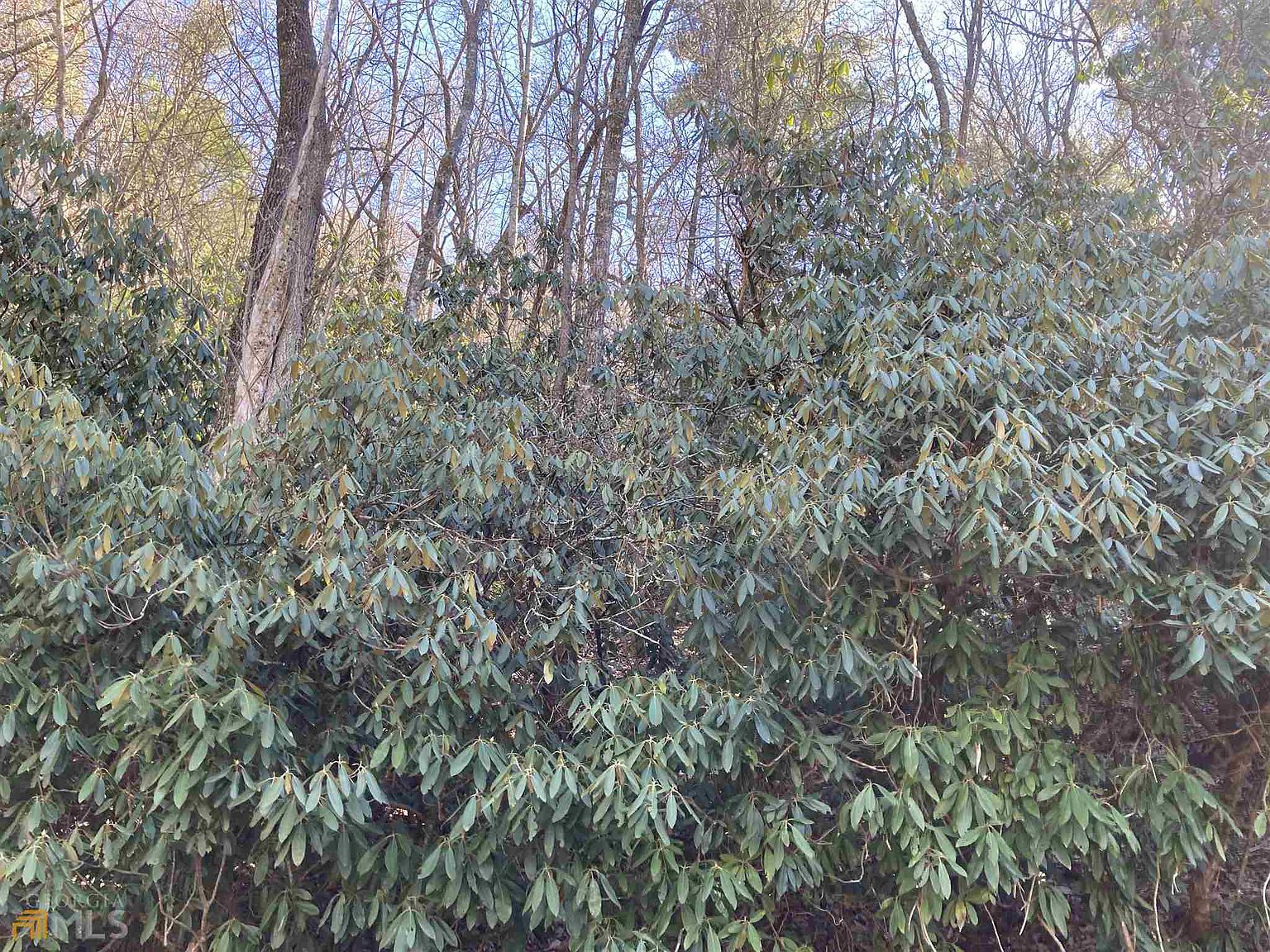 0 Screamer Dr, Clayton, GA 30525 Zillow