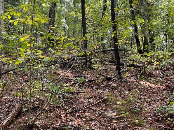 Berkeley Springs WV Land & Lots For Sale - 28 Listings | Zillow