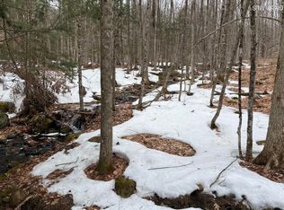 277 Roaring Branch Road, Stony Creek, NY 12878