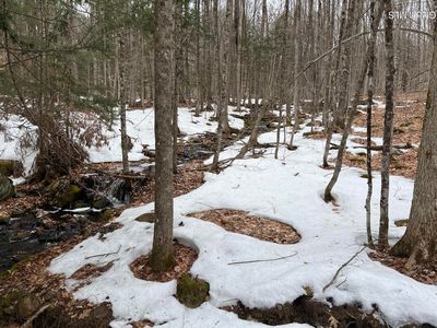 277 Roaring Branch Road, Stony Creek, NY, 12878