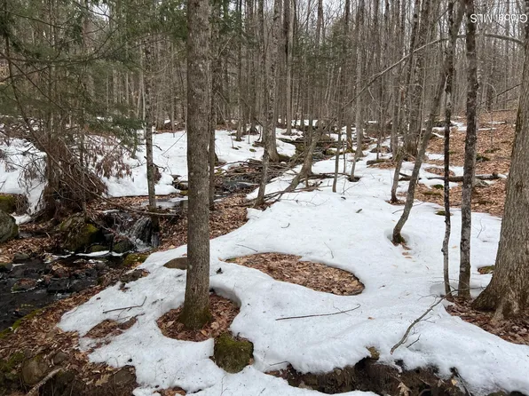 277 Roaring Branch Road, Stony Creek, NY 12878