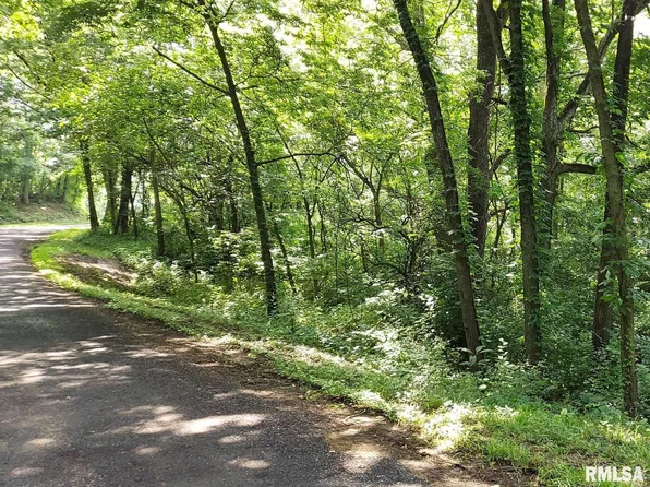 0 W Bristol Hollow Rd, Dunlap, IL 61525