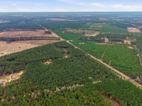 1208 Holly Grove Rd, Livingston, TX 77351