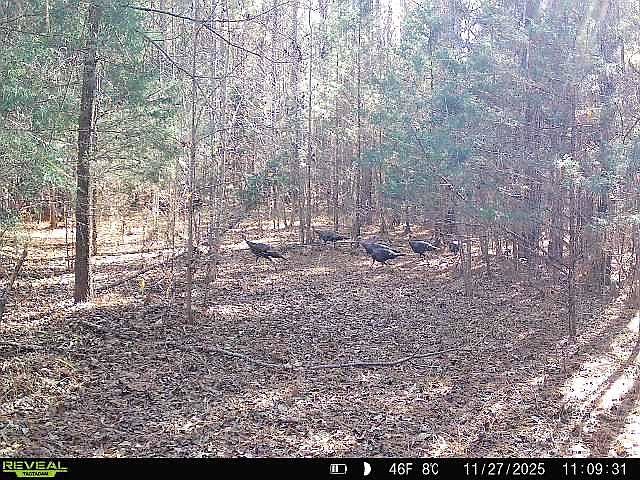 1st image of 0 Simpson Mill Rd