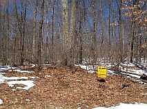 1st image of 18 Woodland Dr