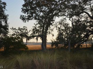 32 Coopers Point Dr, Townsend, GA 31331