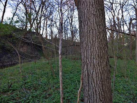 5th image of 1 Williams Rd