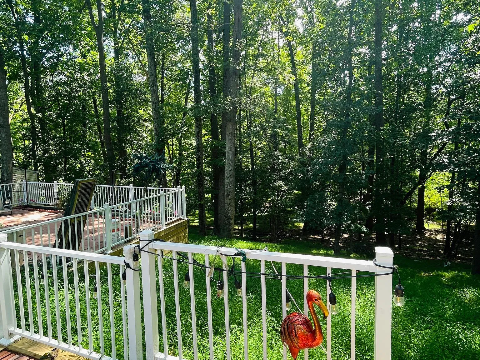 Preakness Dr, Damascus — Photo 2